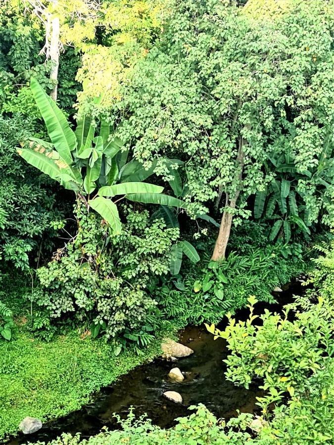 Holiday Cottage By The River, Arusha Extérieur photo