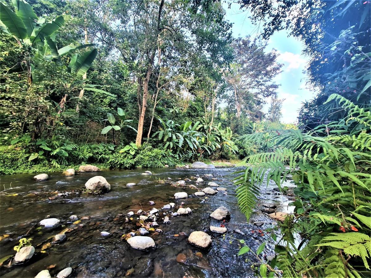 Holiday Cottage By The River, Arusha Extérieur photo
